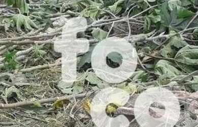 Imagem 3: Terreno à venda, 250 m² por R$ 168.000,00 - Carajás - Uberlândia/MG