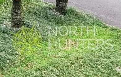 Imagem 6: 3 Casas à venda no bairro Petrópolis, Joinville, SC