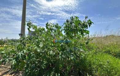 Imagem 14: Terreno à venda - Vila Real - Hortolândia/SP