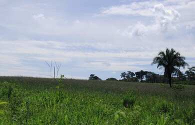Imagem 13: Terezópolis de Goiás - Fazenda - Rural