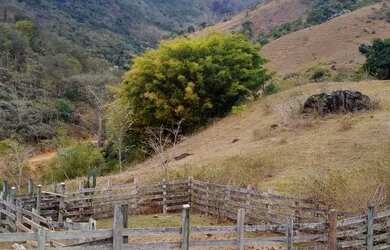Imagem 13: Fazenda/Sítio/Chácara para venda com 78 alqueires em São Fidélis-RJ