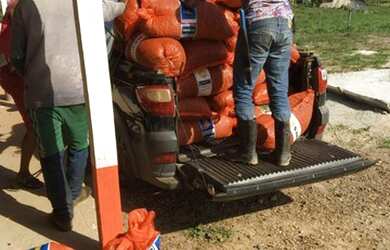 Imagem 10: 100 alqueires por R$6 milhões no Pará no asfalto