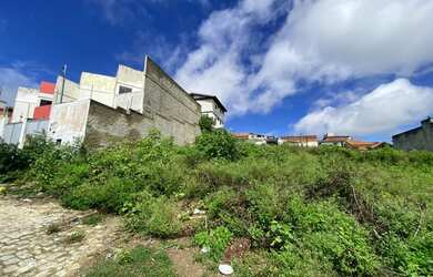 Imagem 3: Lote/Terreno para venda possui 300 metros quadrados no Alto Branco - Campina...