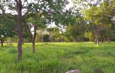 Imagem 3: VENDO FAZENDA DE 90 ALQUEIRES COM 5 CASAS 2 CURRAL NO MUNICÍPIO DE ANAPU