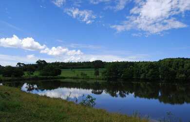 Imagem 8: Terezópolis de Goiás - Fazenda - Rural