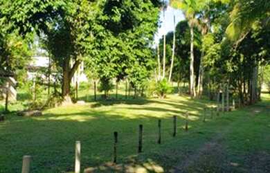 Imagem 6: LFerreira Imóveis. 5.000m² de Área