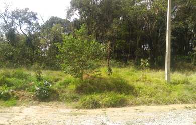 Imagem 5: Troco terreno. 3.000m² de Área