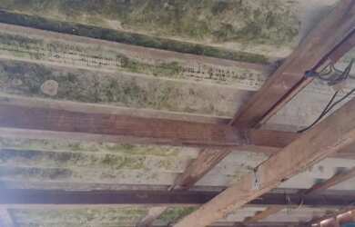 Imagem 3: Casa Casa com 5 dormitórios