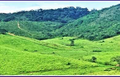 Imagem: A fazenda está localizado em Siriri, SE à venda por R$10.000