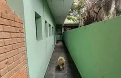 Imagem 11: Casa térrea e Assobradado na Mooca - 180m - 3 pavimentos 4 vagas