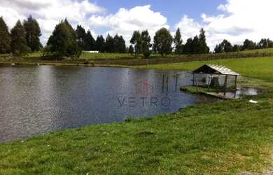 Imagem: Sítio no bairro Saiqui em Canela/RS