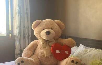 Imagem 15: SAPUCAIA DO SUL - Casa Padrão - Lomba da Palmeira