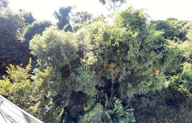 Imagem 11: Casa com 4 dormitórios à venda, 600 m² por R$ 2.690.000,00 - Condomínio...