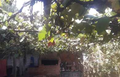 Imagem 4: Casa de 3 quartos à venda no bairrro Tomazetti, Santa Maria, RS