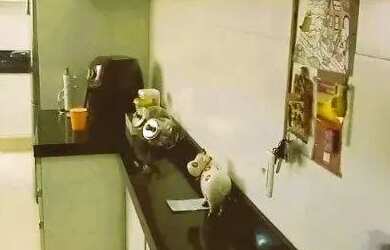 Imagem: O apartamento possui 3 Dormitórios, 2 Banheiros, 2 Vagas na