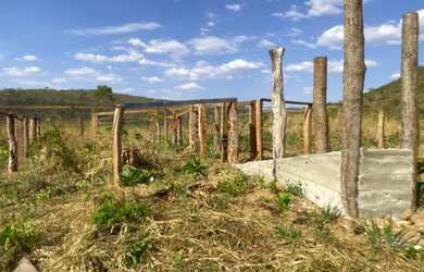 Imagem 15: Arrendo Fazenda de 18 alqueires próxima ao asfalto