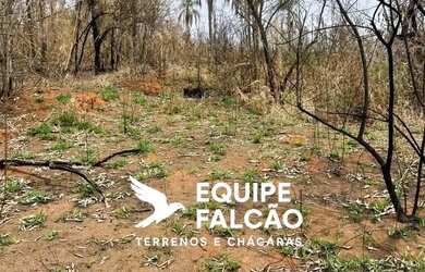 Imagem 4: Promoção por tempo limitado garanta o seu lote