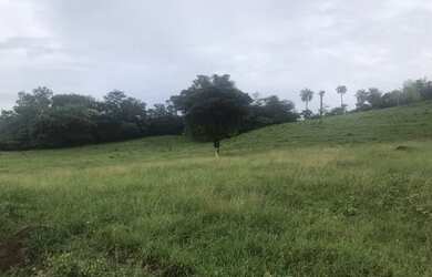 Imagem: A fazenda possui 72.000m² de Área Privada e está localizado