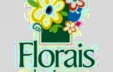 Imagem: O terreno está localizado em Ribeirão do Lipa, Cuiabá à