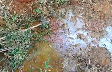 Imagem 16: Fazenda/Sítio/Chácara para venda com 78 alqueires em São Fidélis-RJ