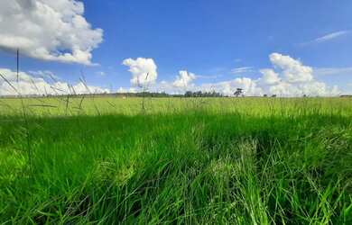 Imagem 16: Bela Vista de Goiás - Chácara - zona rural