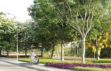 Imagem: O terreno está localizado em Centro, Eusébio à venda por