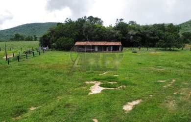 Imagem 5: Fazenda à Venda - 294 Alqueires Tocantins, na divisa com Goiás