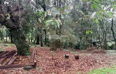 Imagem 9: Casa 2 dormitórios terreno de 3.695,68 m²