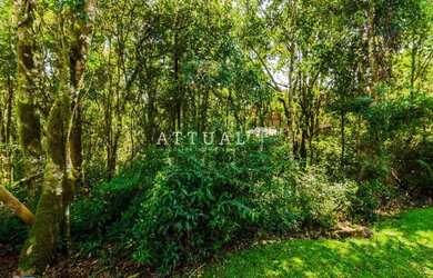 Imagem 2: TERRENO EM CONDOMÍNIO/GRAMADO