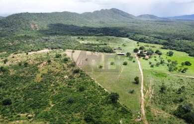 Imagem 6: Fazenda à Venda - 294 Alqueires Tocantins, na divisa com Goiás