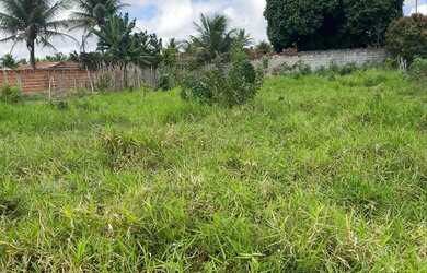 Imagem: O terreno está localizado em Japoatã, SE à venda por R$7.000