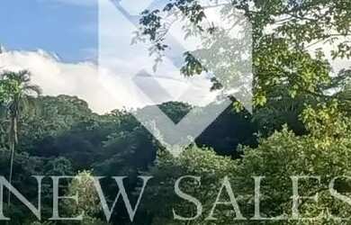 Imagem: A fazenda possui 96.800m² de Área e está localizado em Avelinópolis