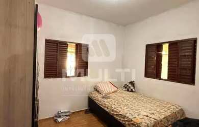 Imagem 11: Colonia - JARDIM BRASILIA