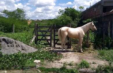 Imagem: O terreno possui 300m² de Área e está localizado em Mangabeira