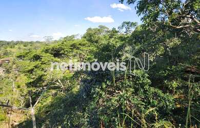 Imagem 12: Venda Fazenda Zona Rural São João Daliança