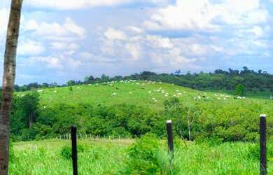 Imagem 9: 100 alqueires por R$6 milhões no Pará no asfalto