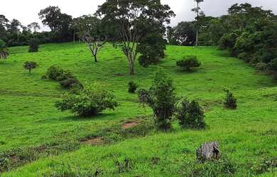 Imagem: A fazenda possui 105.996m² de Área, Varanda e está localizado