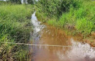 Imagem 14: Bela Vista de Goiás - Chácara - zona rural
