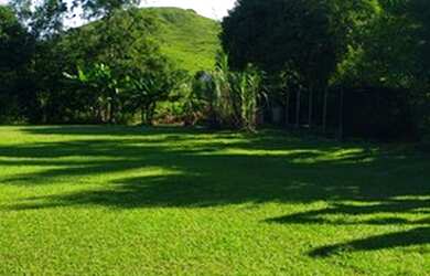 Imagem 16: LFerreira Imóveis. 5.000m² de Área