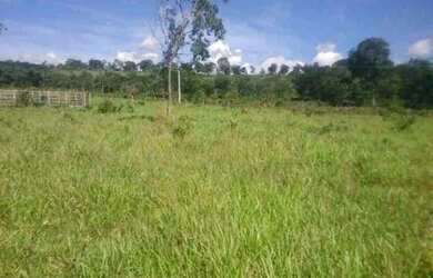 Imagem: A chácara está localizado em Jaboticatubas, MG à venda por