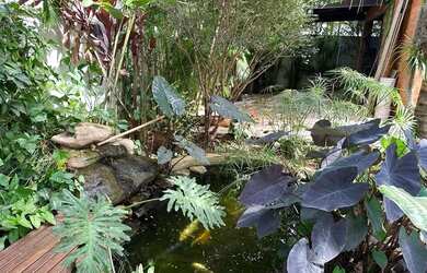 Imagem 14: Aluguel Jardins Munique