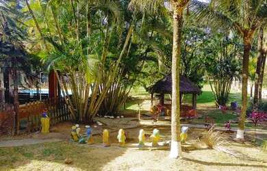 Imagem 3: Papucaia- Região Nobre- Fazendinha/ Haras Montado- Porteira Fechada