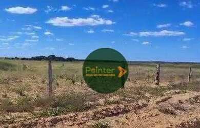 Imagem: A fazenda possui 80.000m² de Área e está localizado em Lagoa