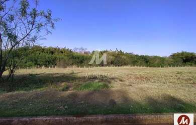 Imagem: O depósito possui 483m² de Área e está localizado em Bonfim