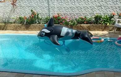 Imagem 16: Vende ótima casa 3qtos. sendo 01 suíte São Gonçalo , Brasilândia