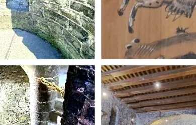 Imagem 1: Aluguel Só Feminino Outro Só Masculino 250m Metrô Saens Pena Tijuca