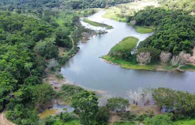 Imagem: A fazenda possui 2.500m² de Área e está localizado em Setor