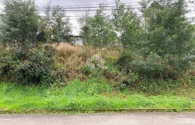Imagem 5: Terreno central em Nova Patrópolis RS
