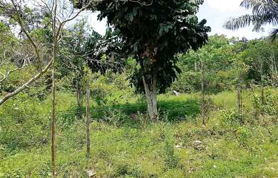 Imagem: O terreno possui 82m² de Área e está localizado em Jorge