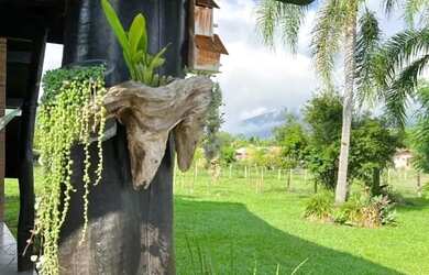 Imagem 11: Sítio / Chácara para Venda em Nova Petrópolis, Linha Temerária, 4...